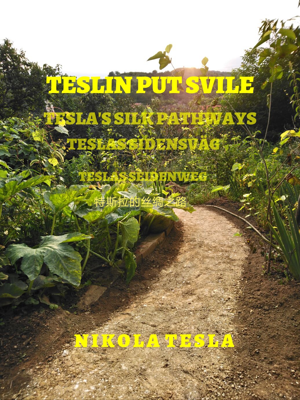 Teslin Put Svile, Tesla Silk Road