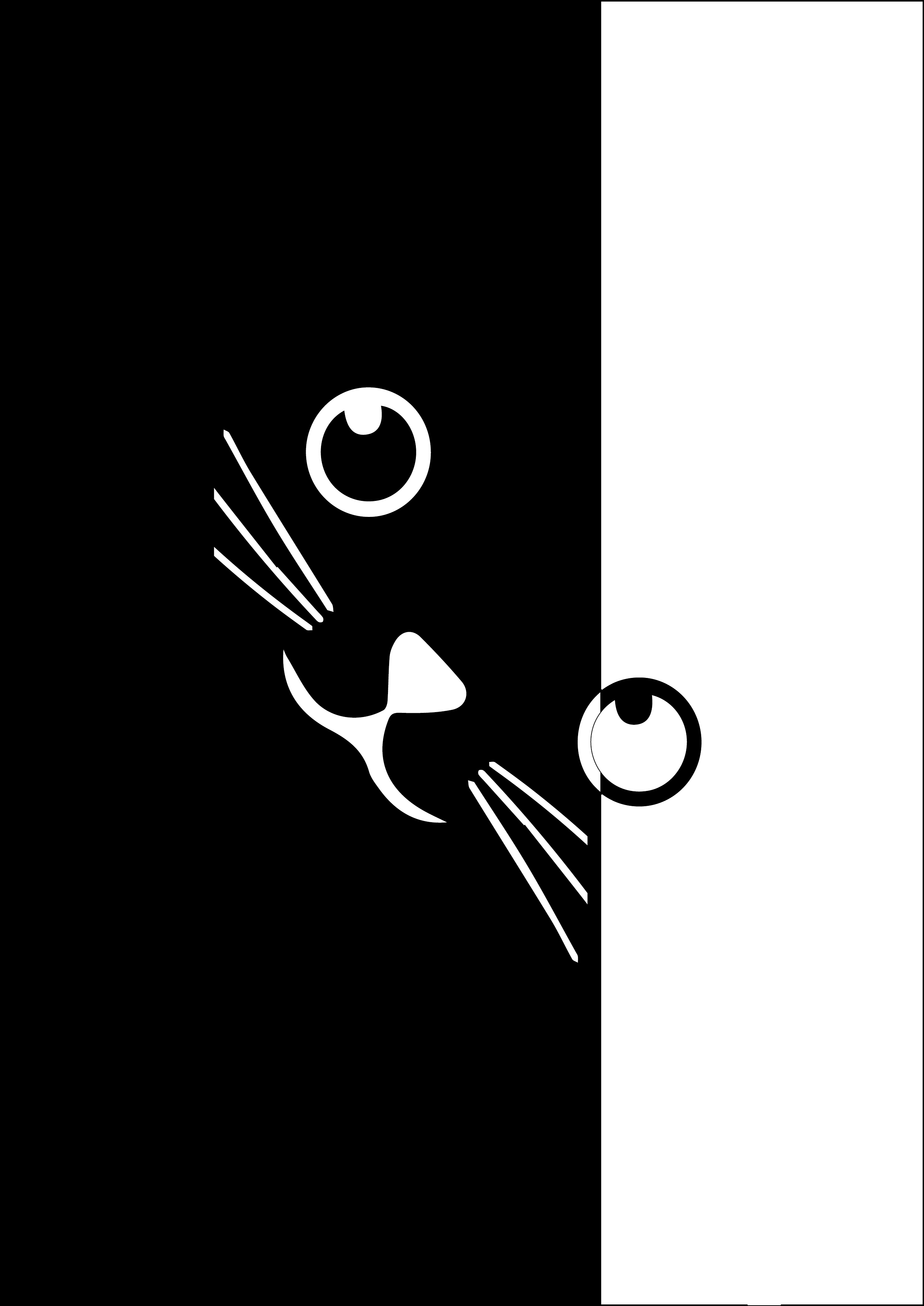 Kat slapend op vensterbank