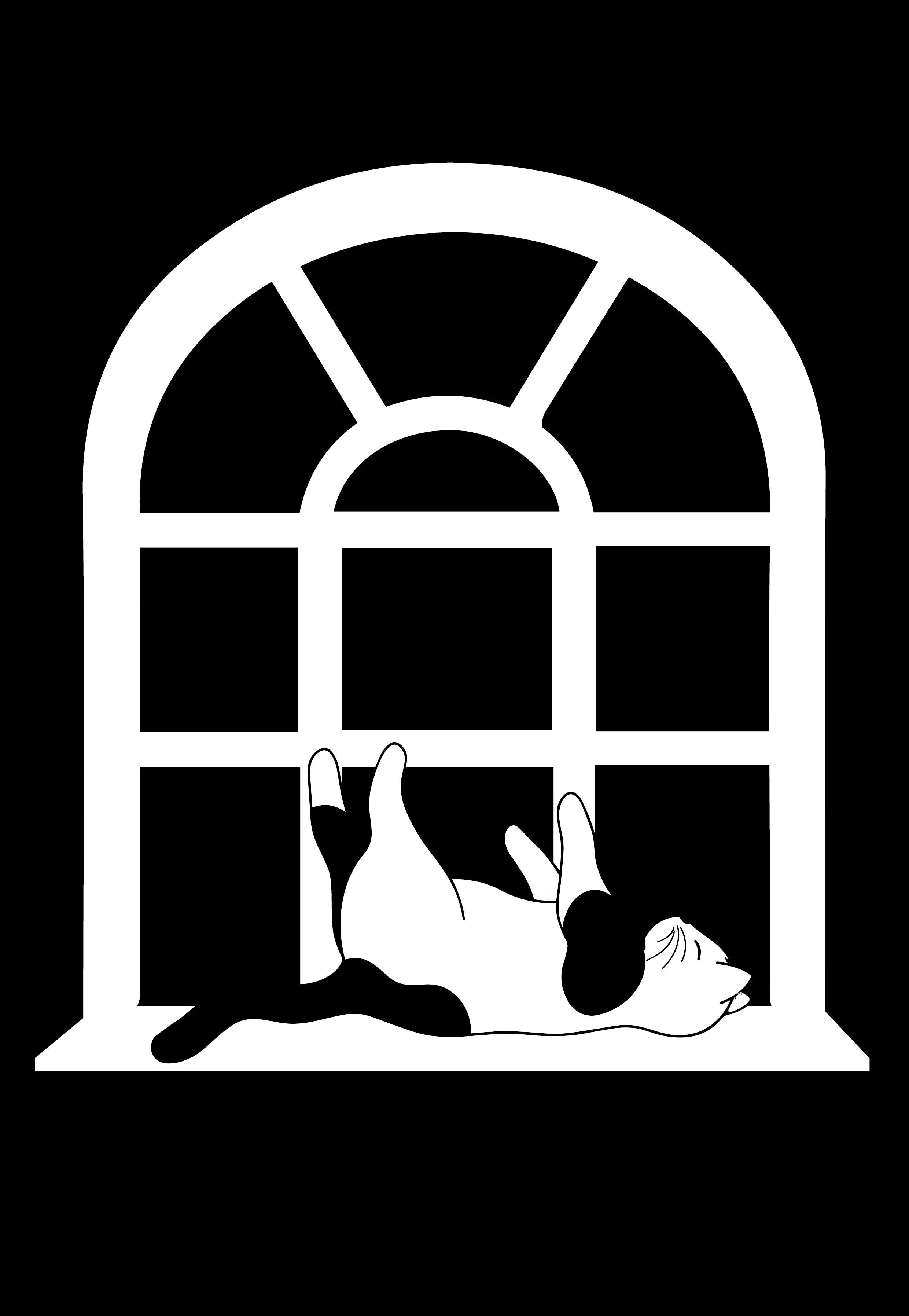 Kat rustend op een venster