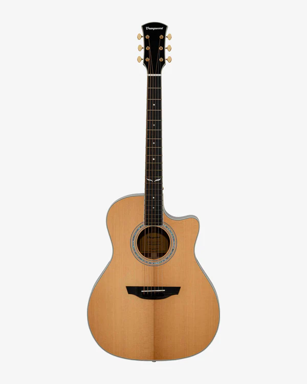 Squaver Acoustic Guitar 39" with Indian Rosewood Fretboard 