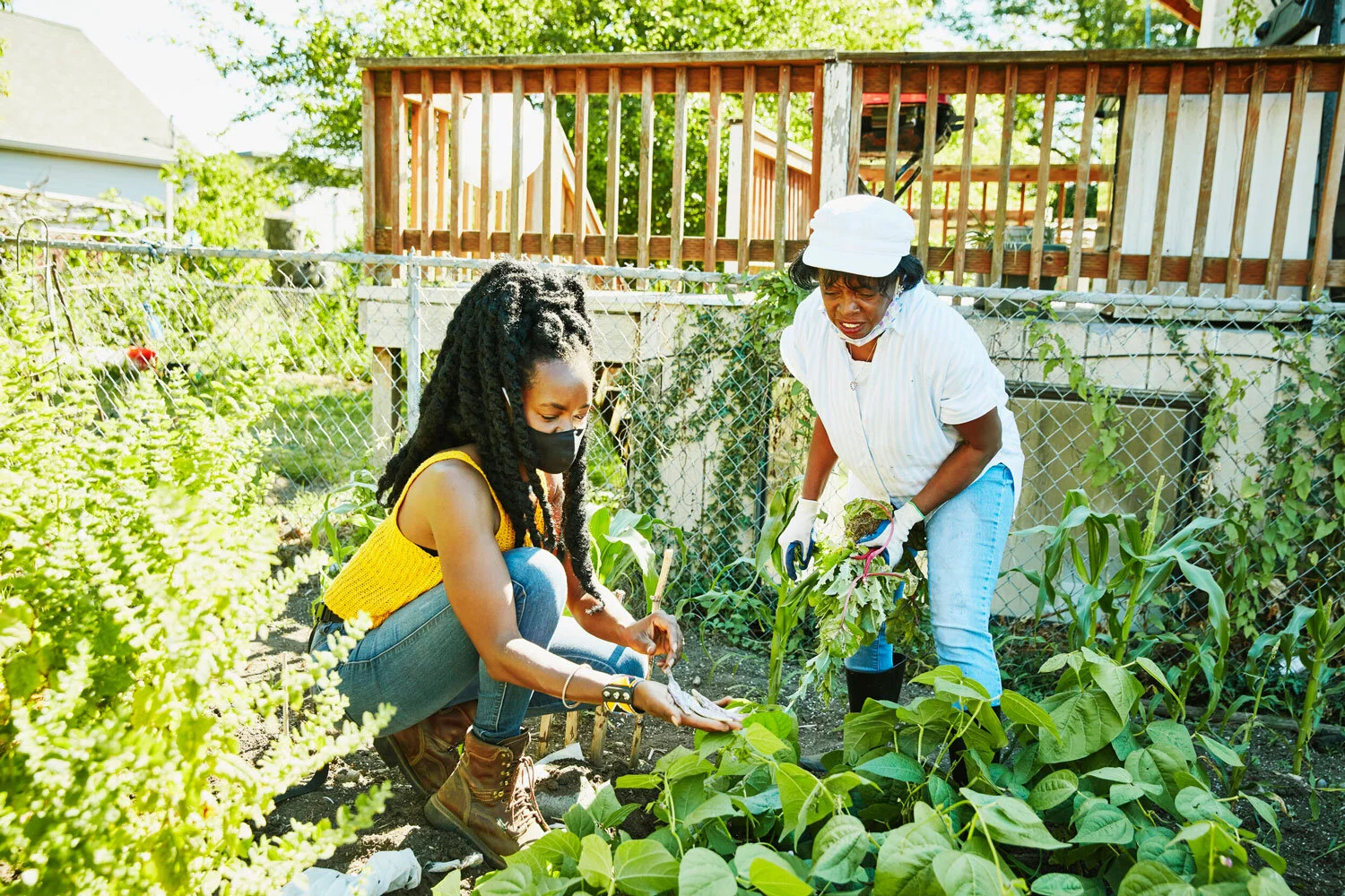 Provides resources for community gardens and agro-tourism projects