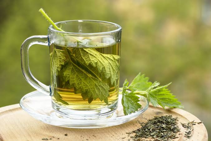 Organic Nettle Leaf Tea (Urtica dioica)
