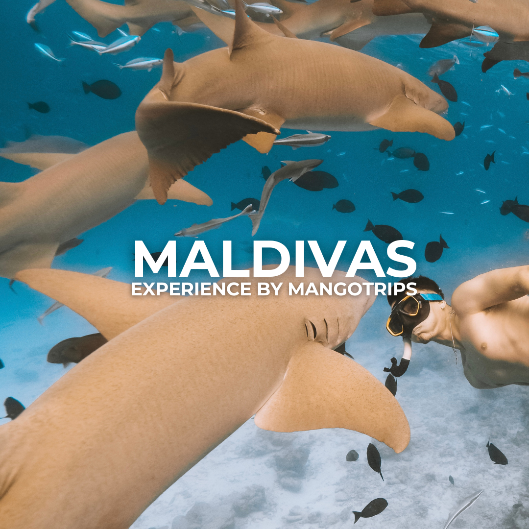 Reserva tu experiencia en Maldivas
