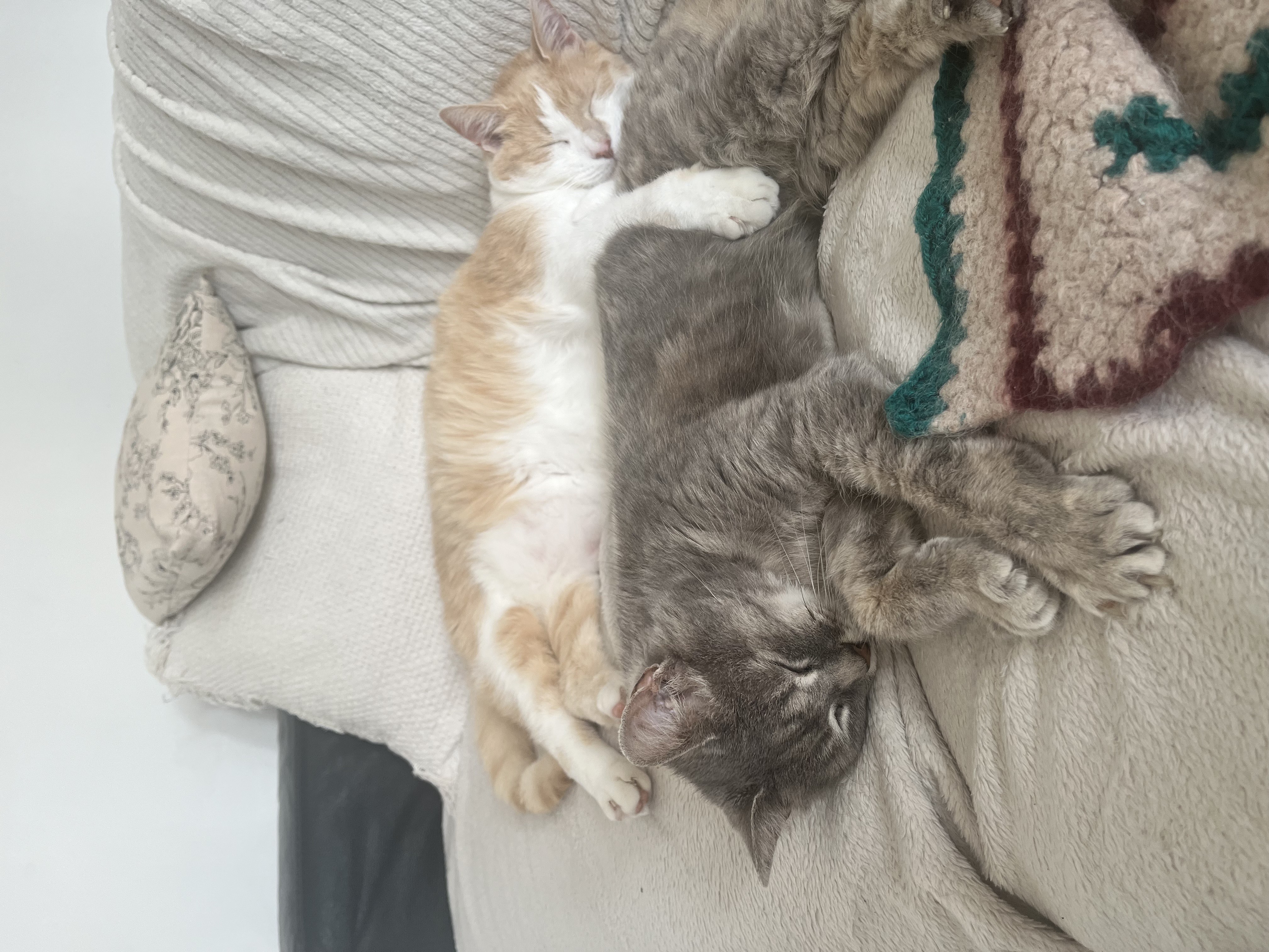 Réservez votre 1ere rencontre 