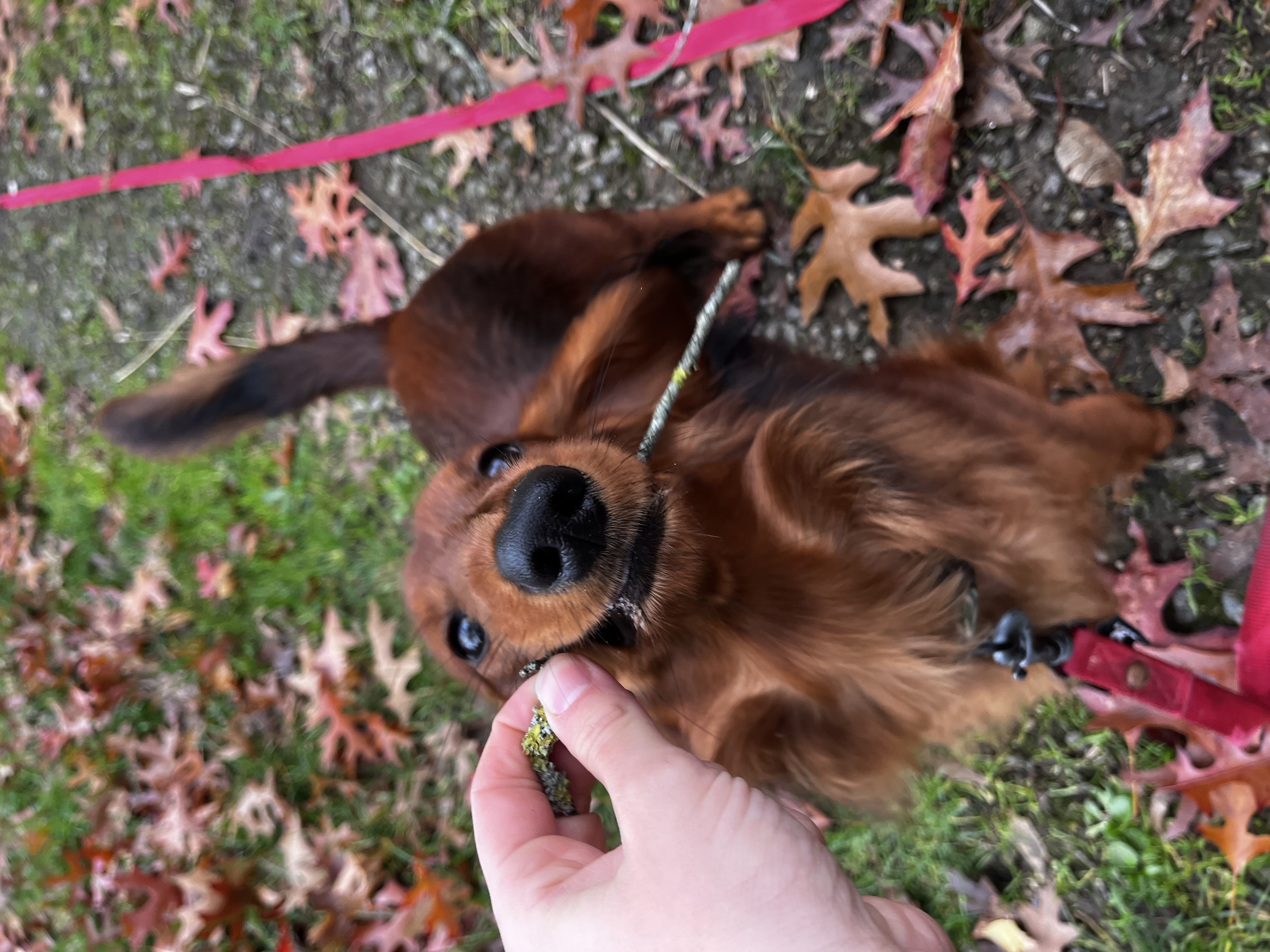 Réserve ta balade d'1h