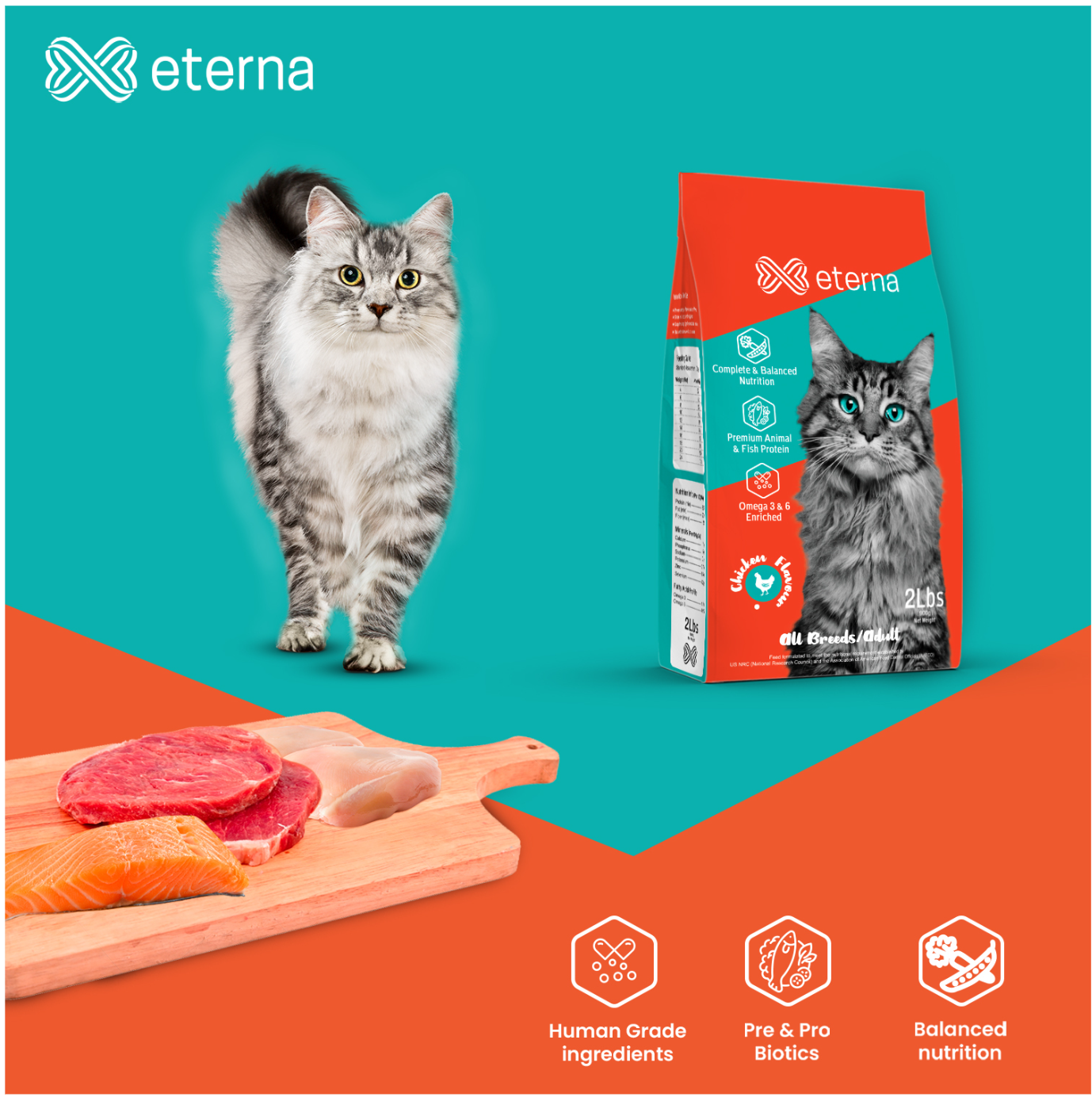 Eterna Cat Food 1kg