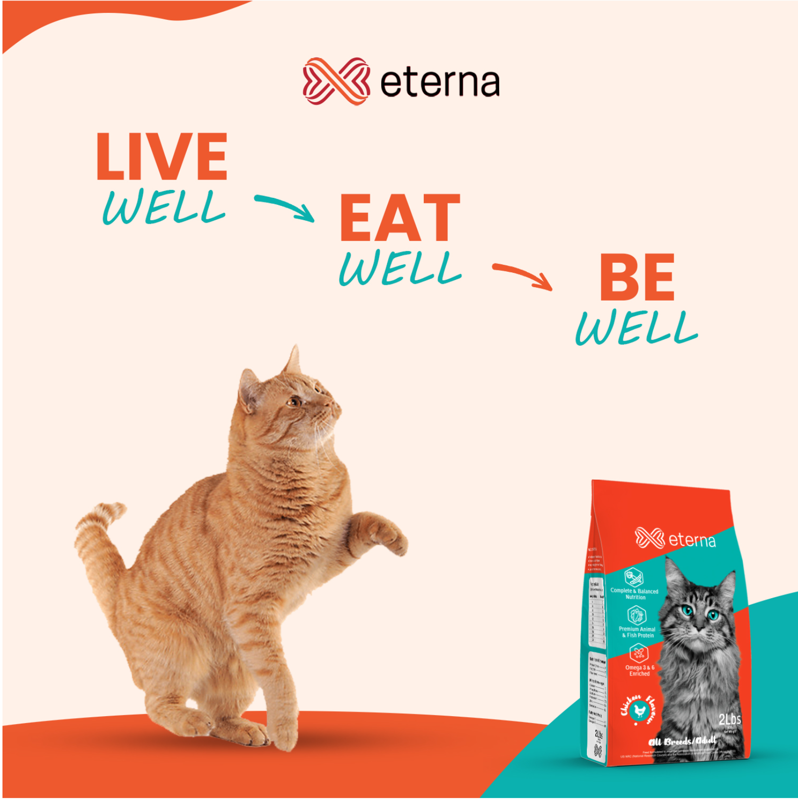 Eterna Cat Food 1kg