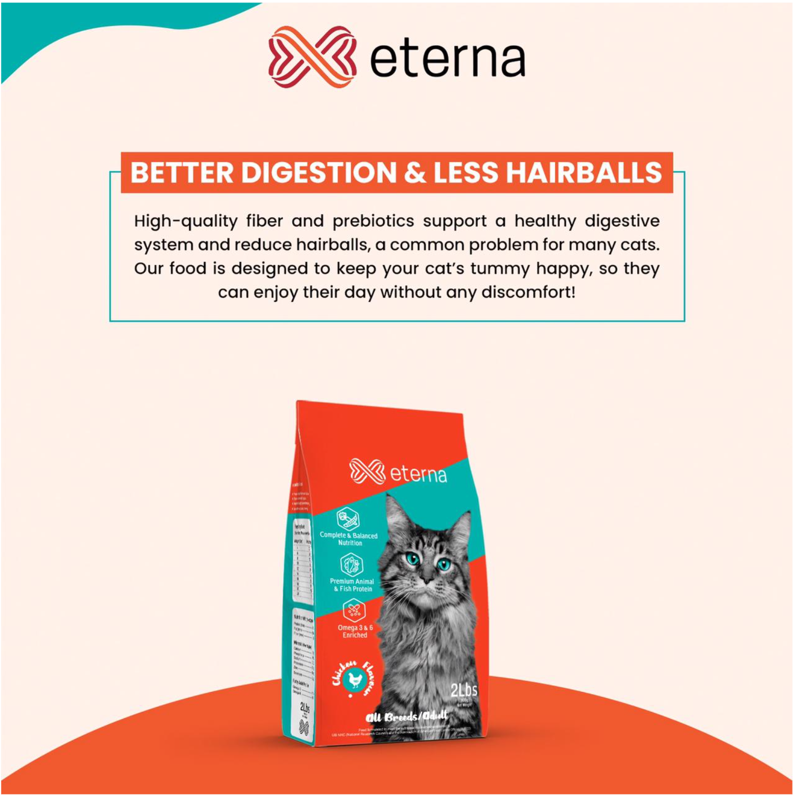 Eterna Cat Food 1kg