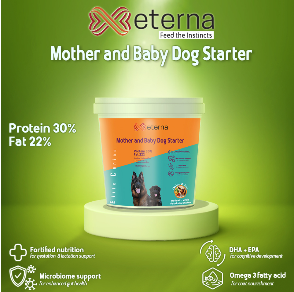 Eterna Mother and Baby Dog Starter