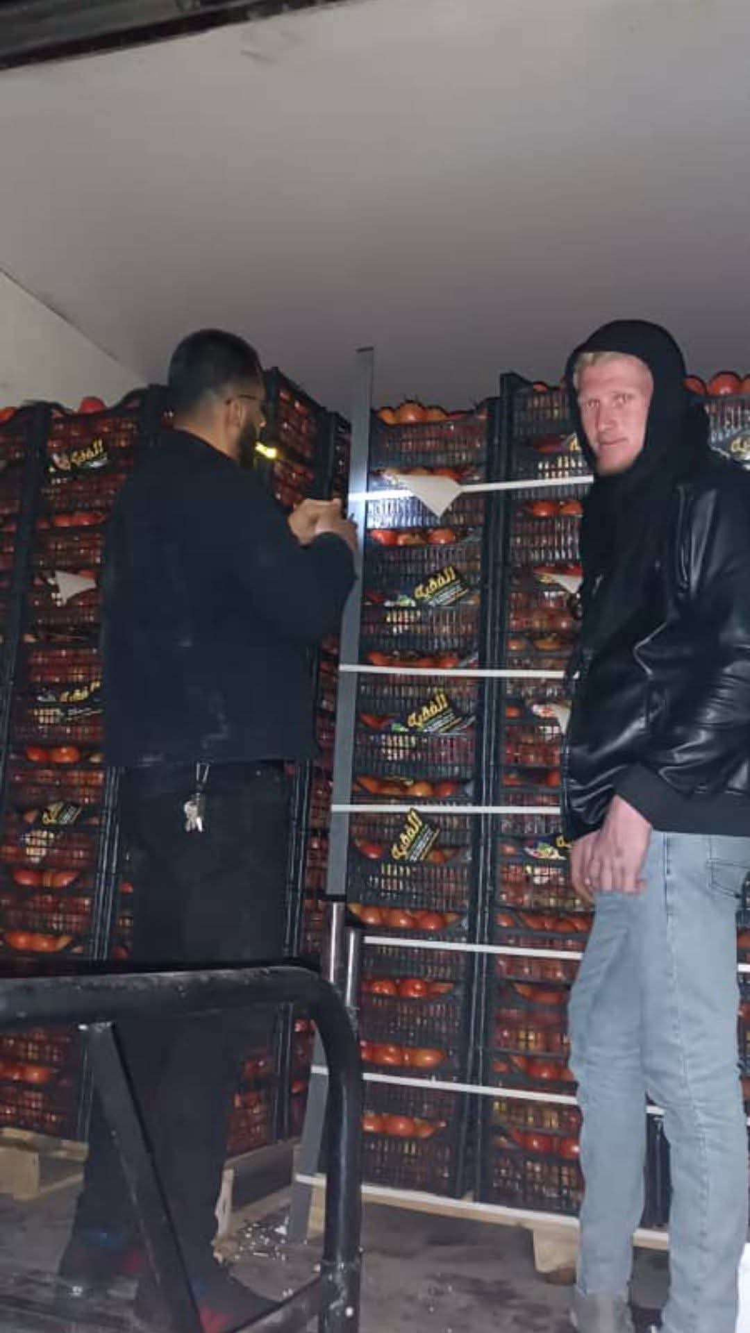 Fresh Tomatoes in Bulk