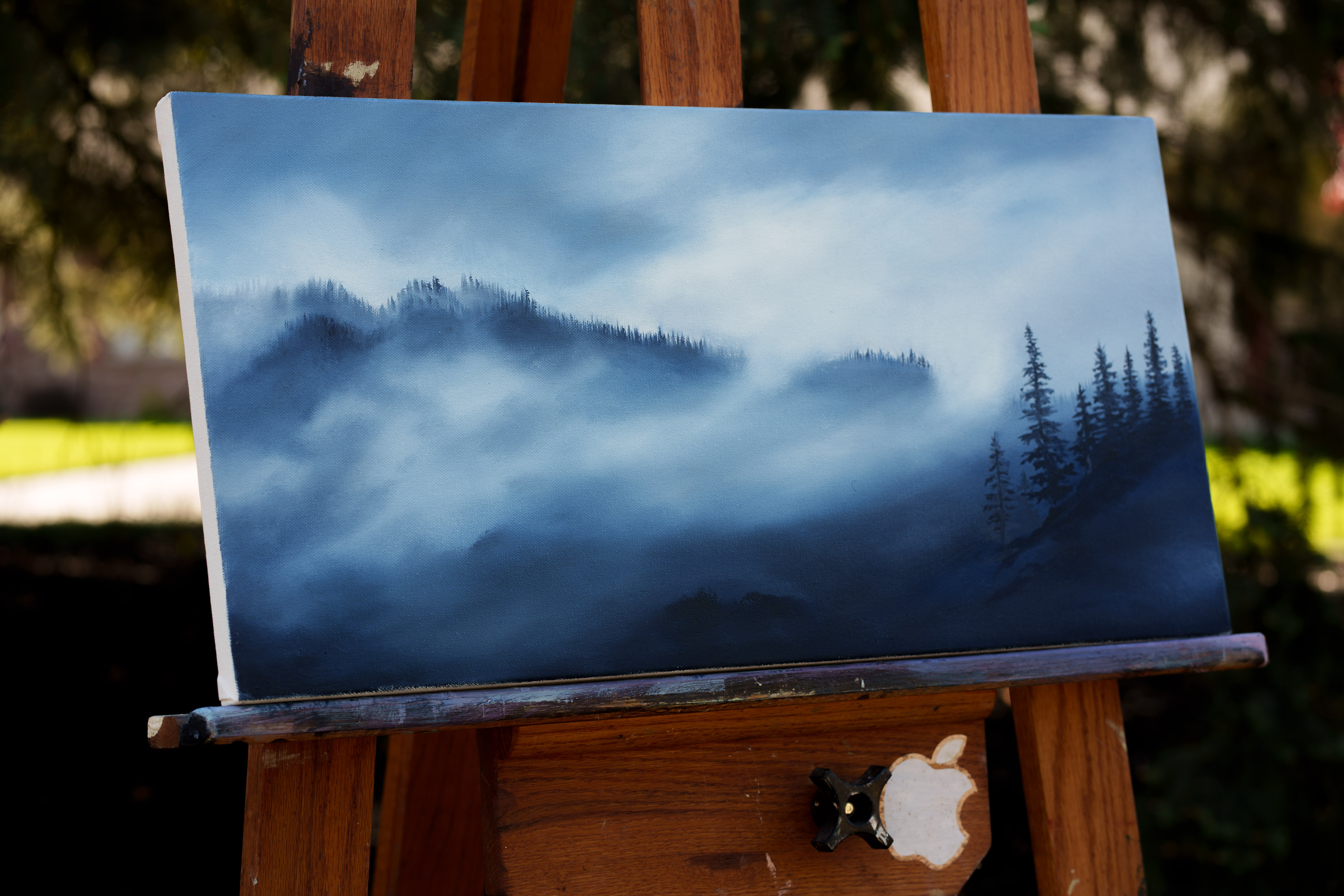 Misty Mountain Mornings