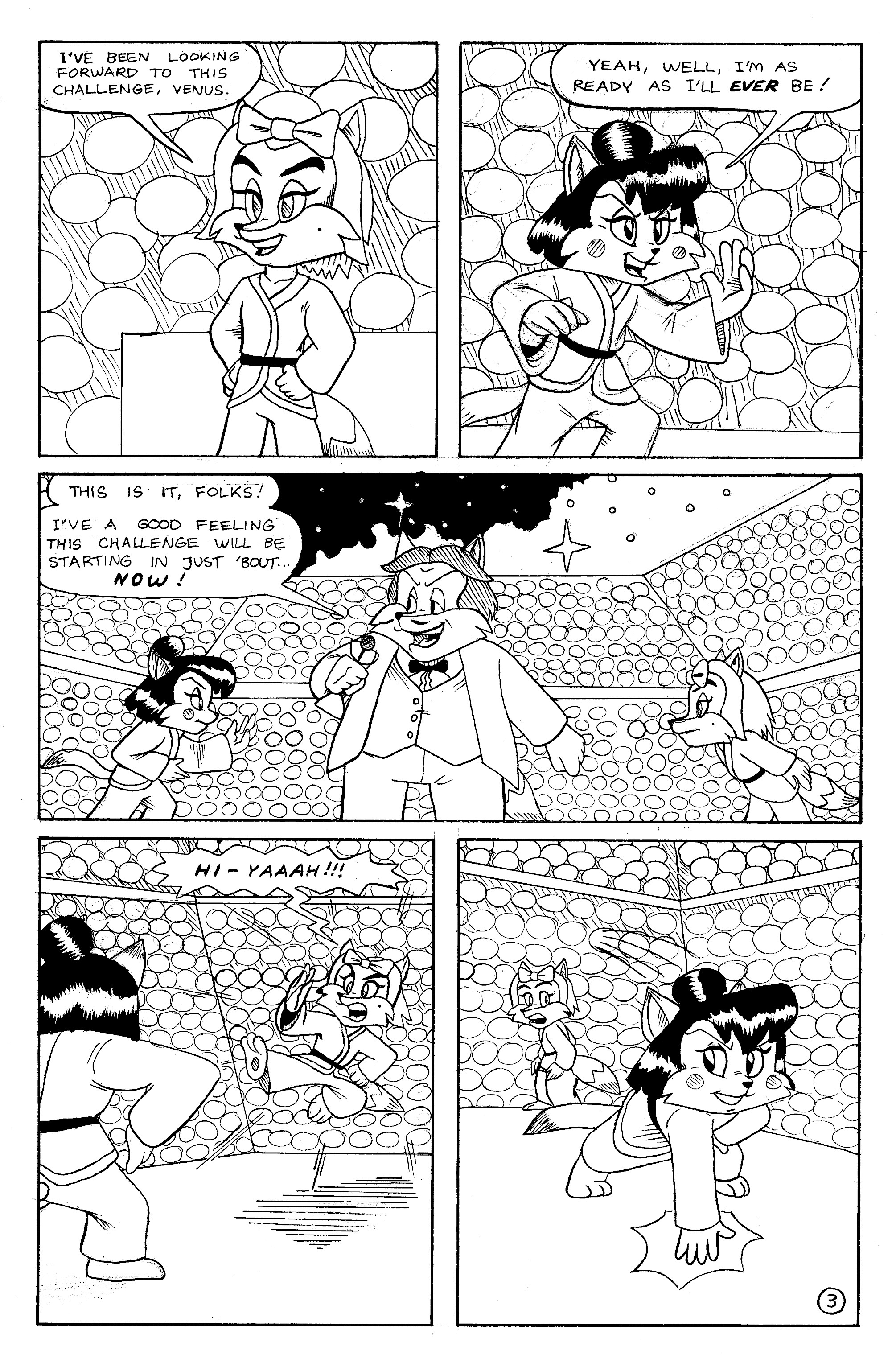 TurboFox #3 (Digital Version)