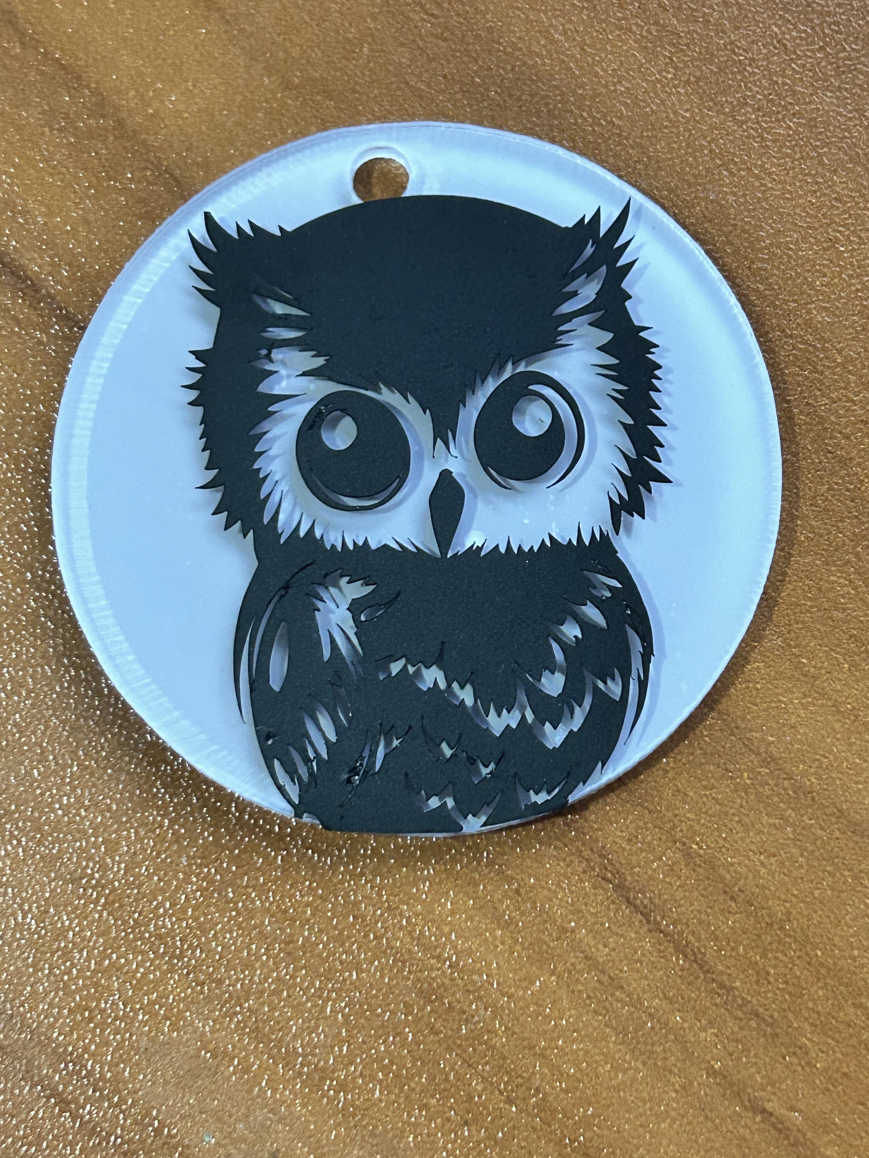 Owl Engraved Or Vinyl Acrylic Keychain