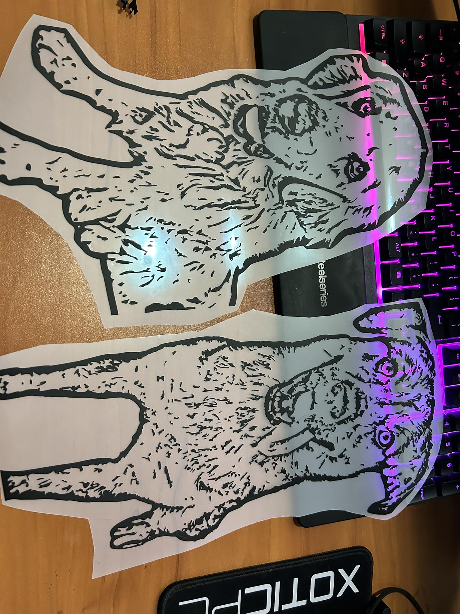 Car Decals, Custom Spotify Codes and SVGs cut products**