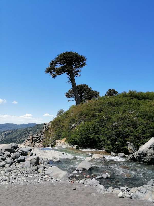 10 Enero / Trekking Laguna Espejo