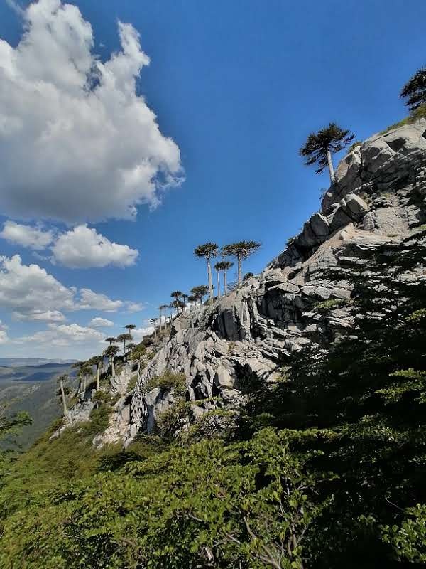 10 Enero / Trekking Laguna Espejo
