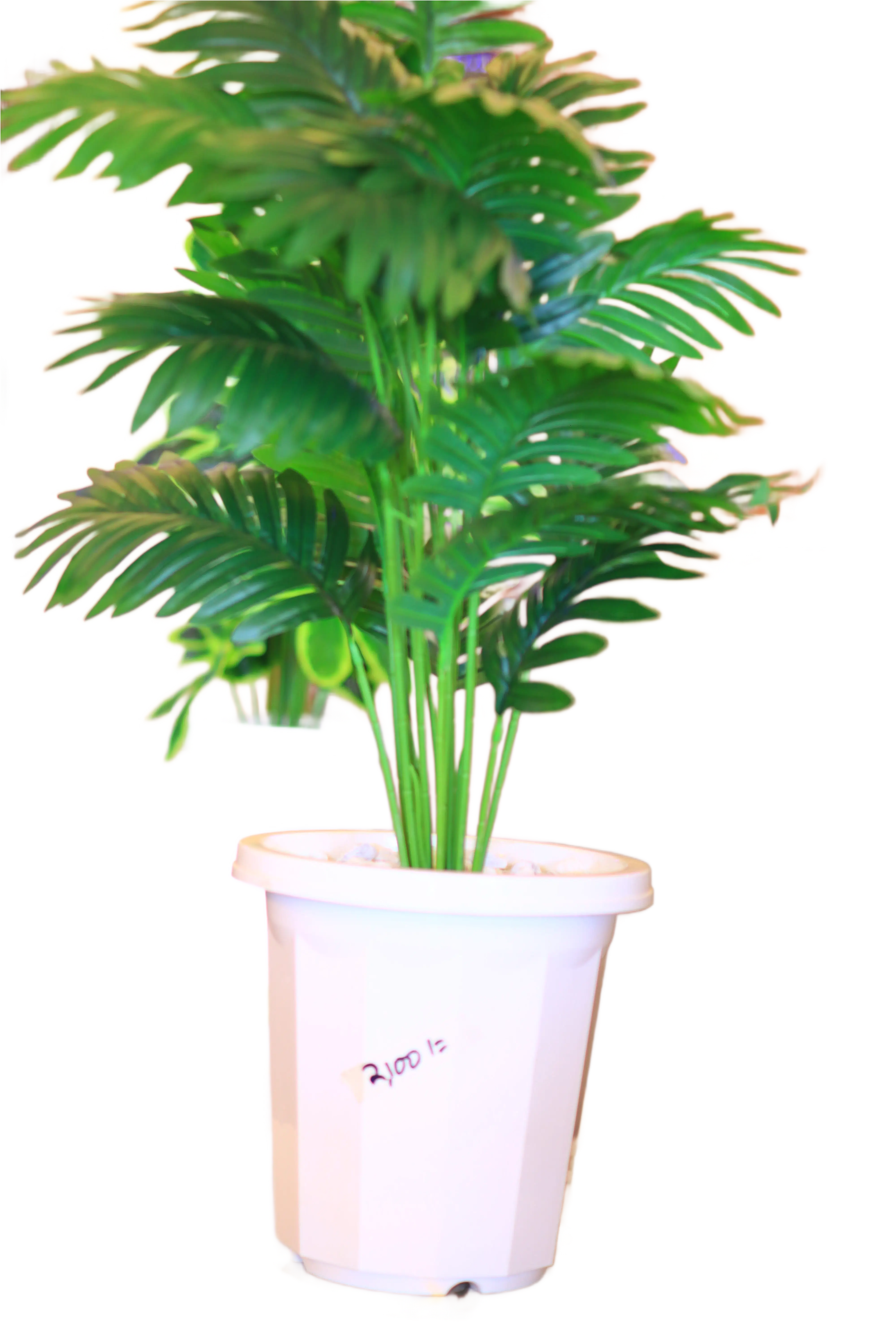 Artificial Palm Plant