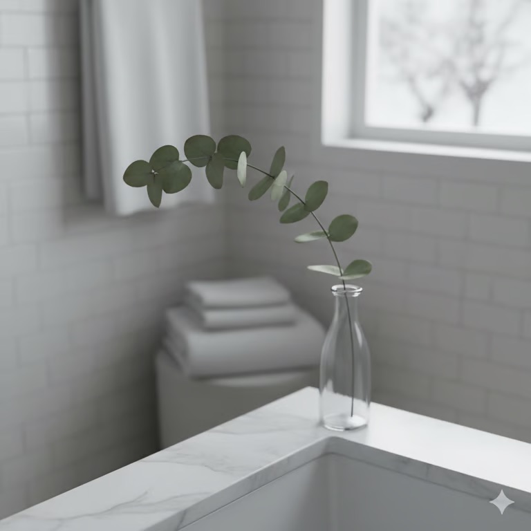 The Preserved Eucalyptus Collection