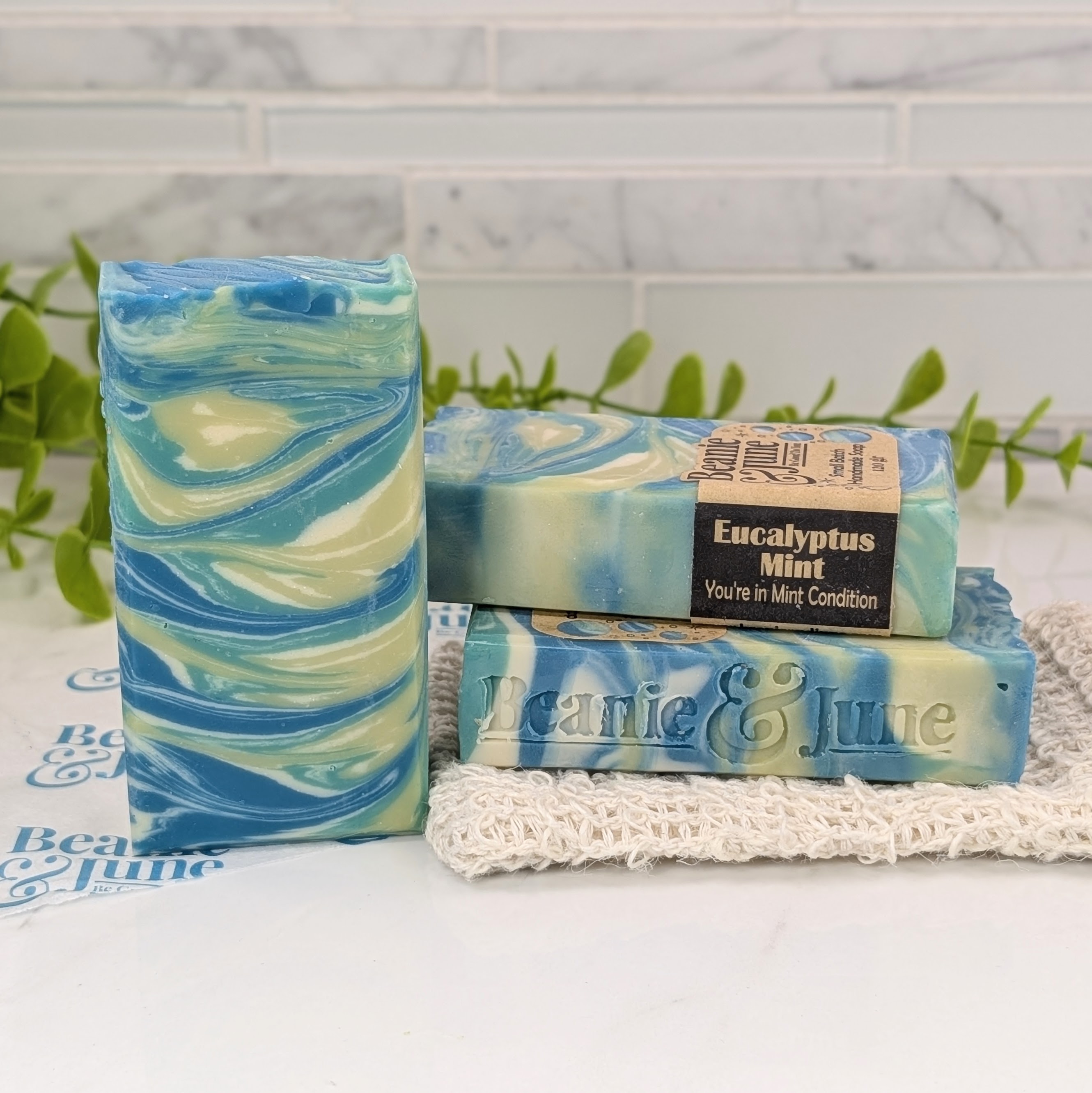Eucalyptus Mint Artisan Soap