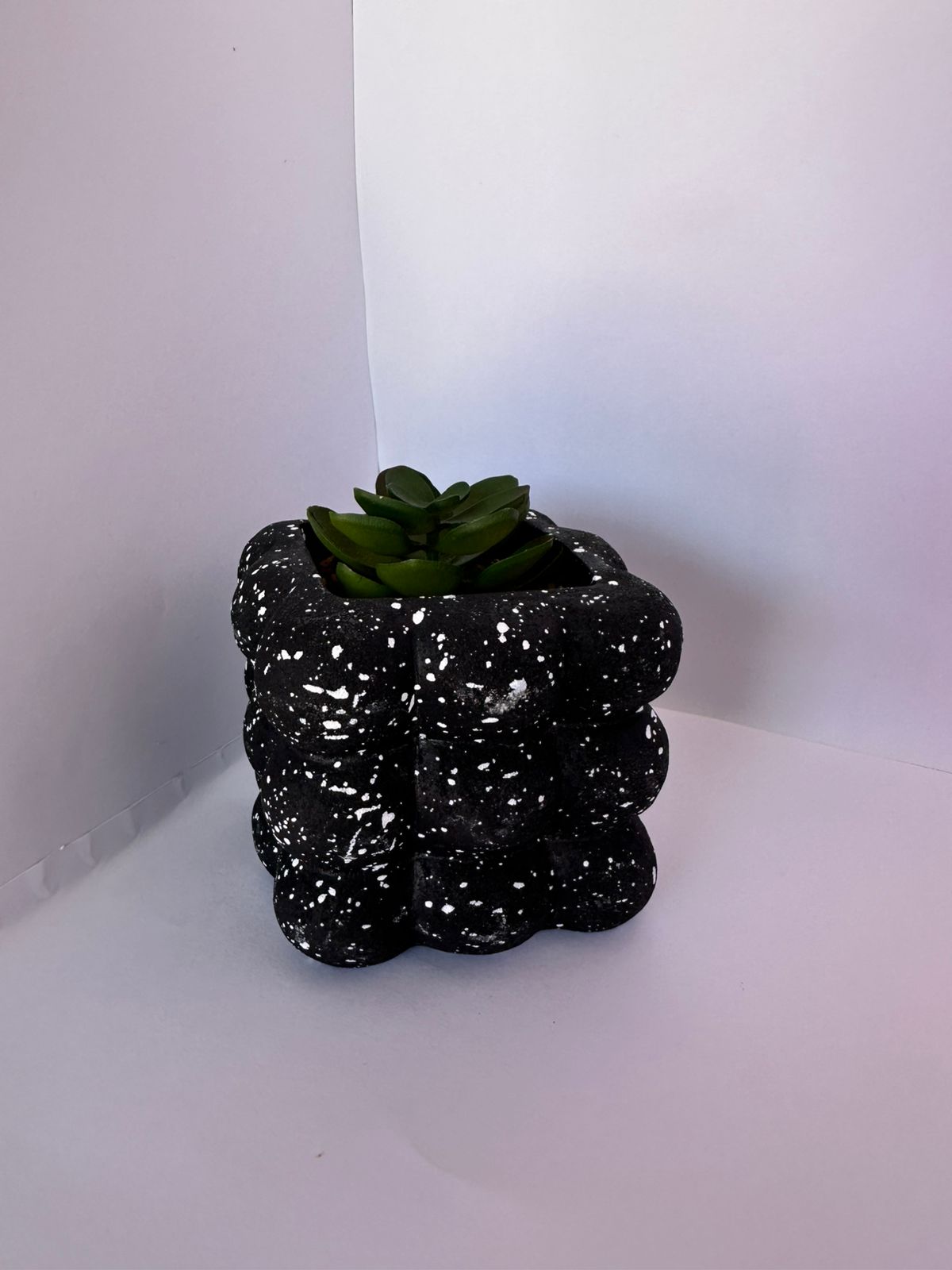 Vaso decorativo com suculenta