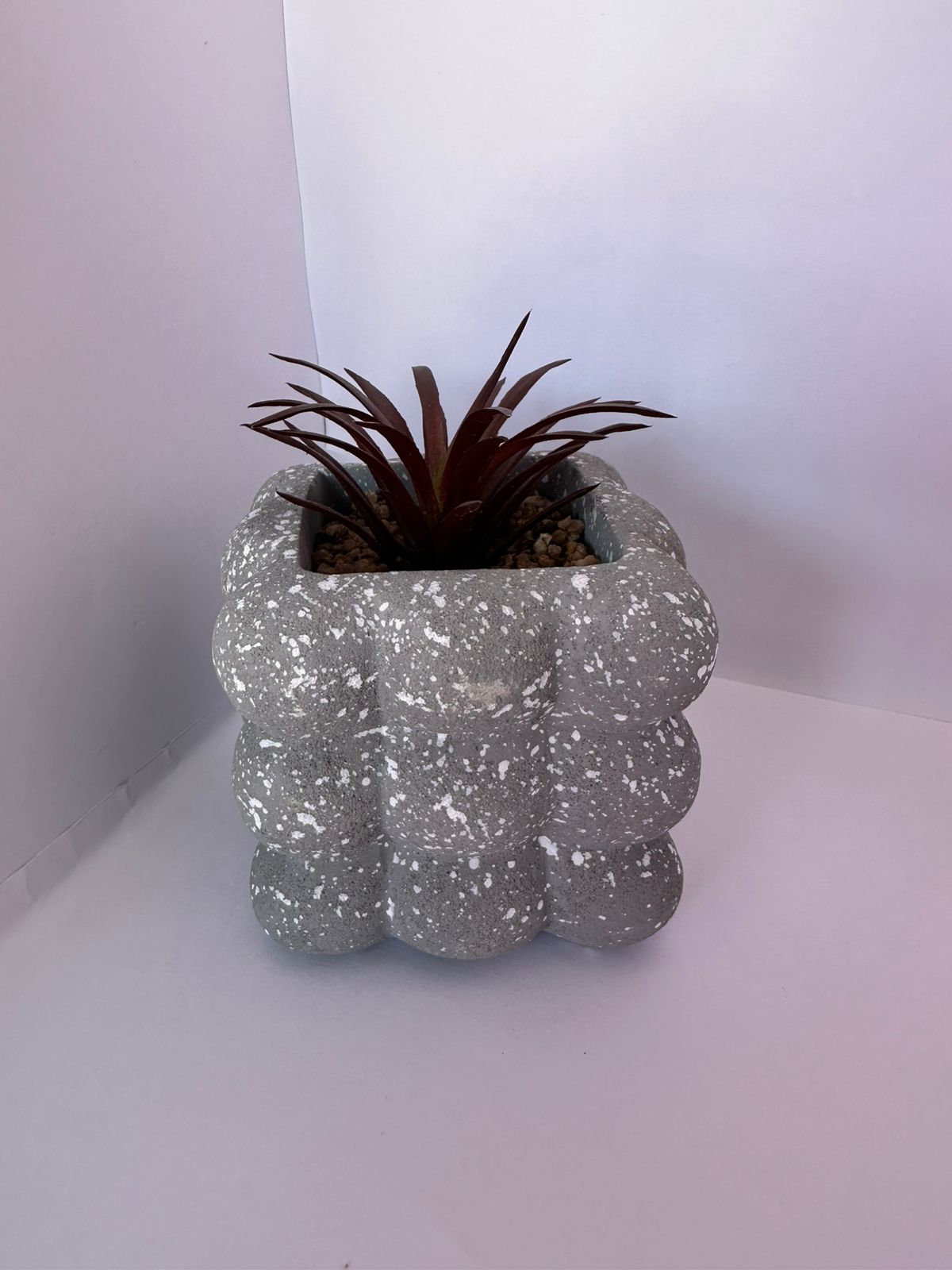 Vaso decorativo com suculenta