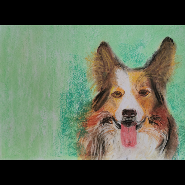 Rocky by Sarah Fenwick