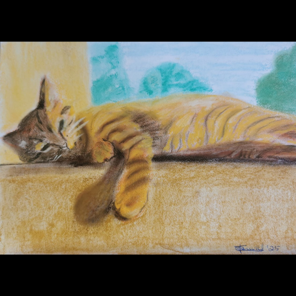 Rocky by Sarah Fenwick