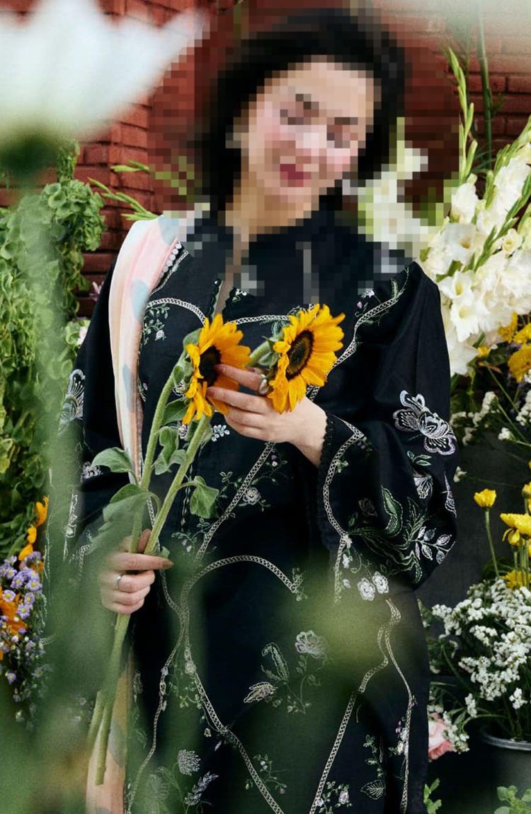 3 PCS Embroided Dhanak