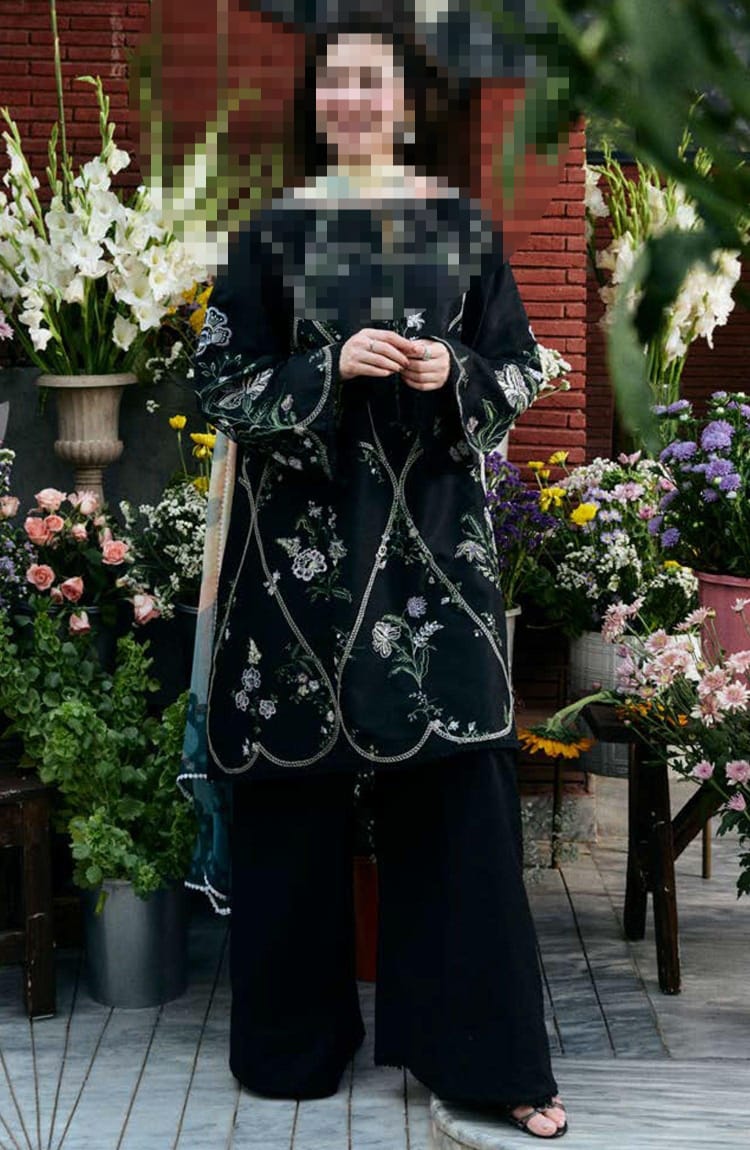 3 PCS Embroided Dhanak