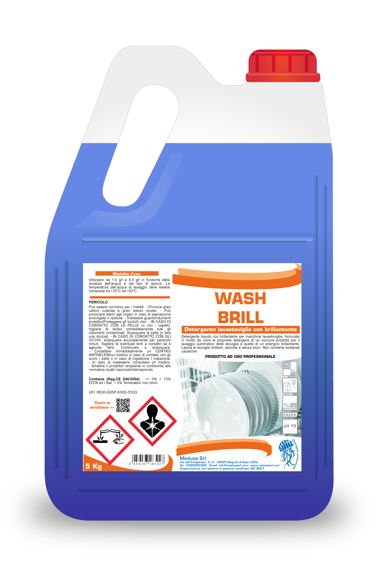 WASH BRILL - (4 pz)