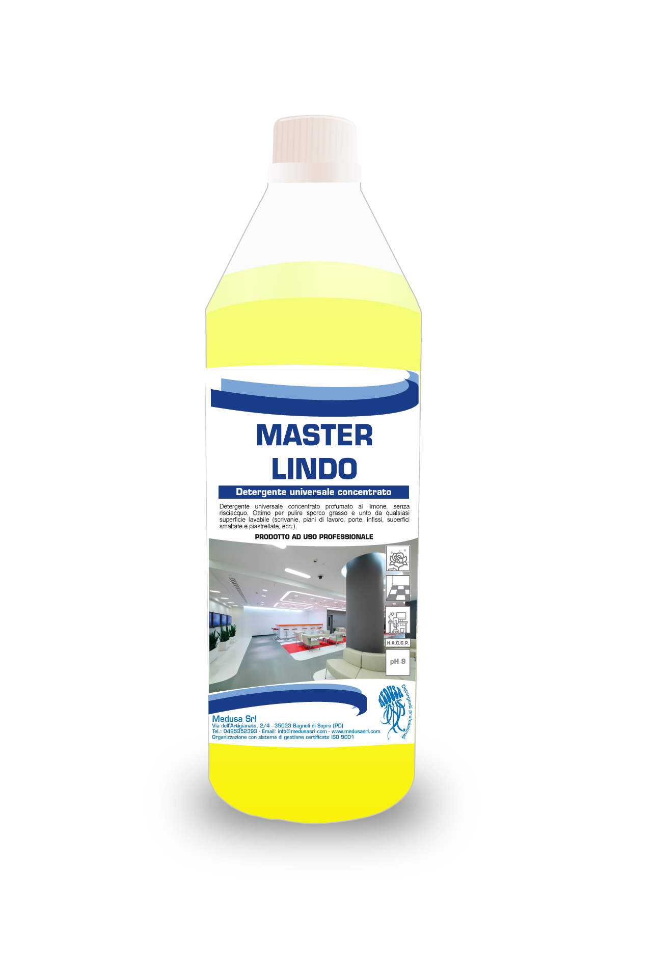 MASTER LINDO - (12 pz)