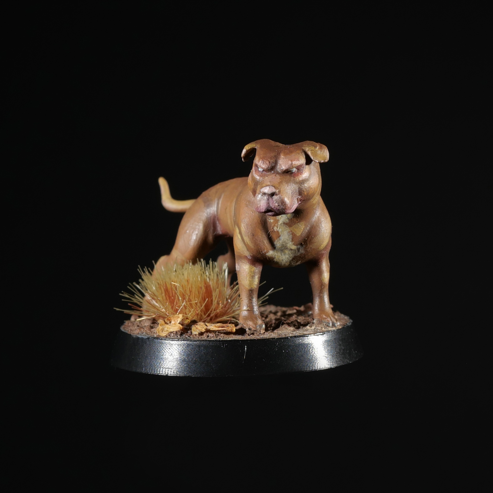 El perro - Formato Físico