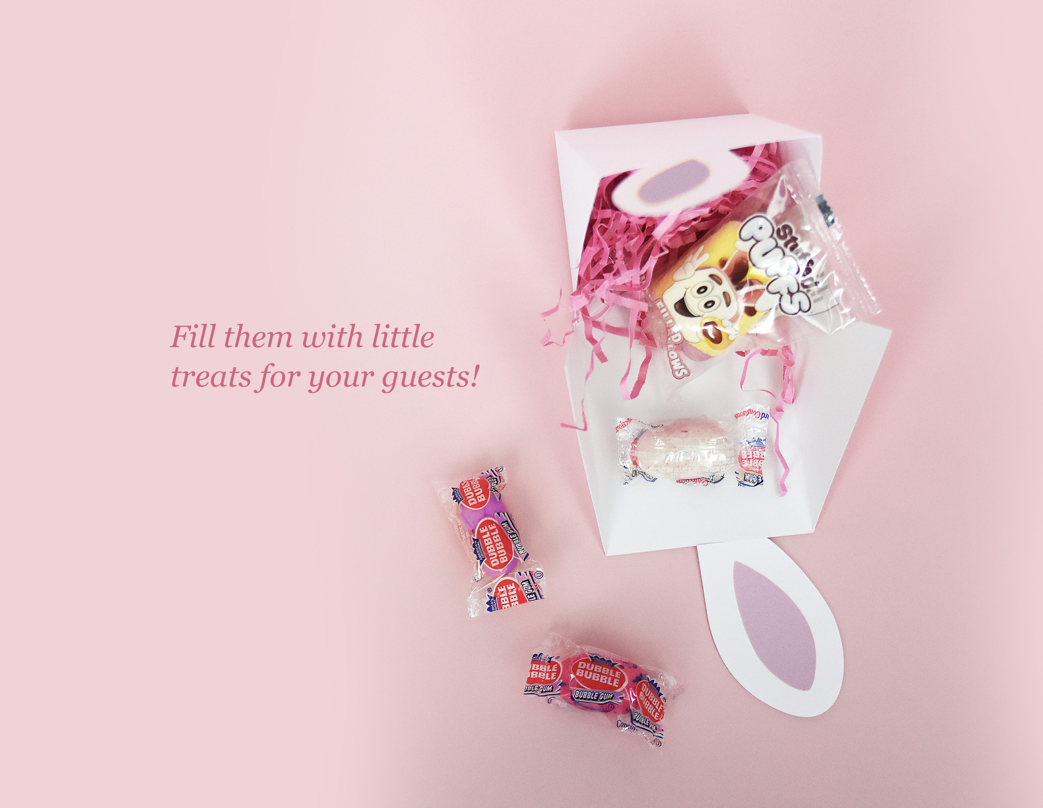 Easter Bunny Box SVG Template, Spring Place Card