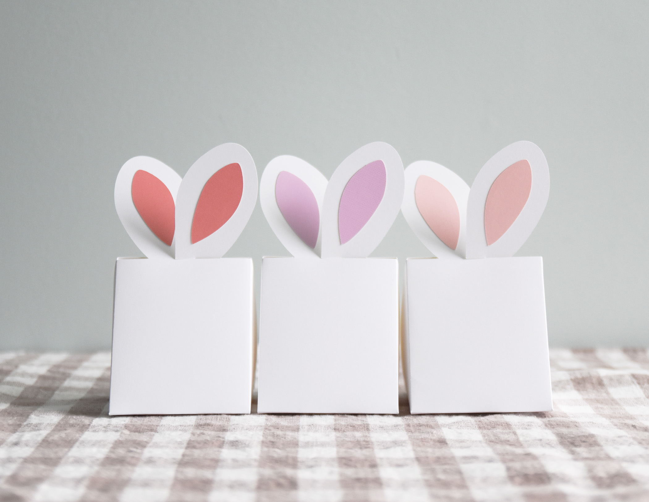 Easter Bunny Box SVG Template, Spring Place Card