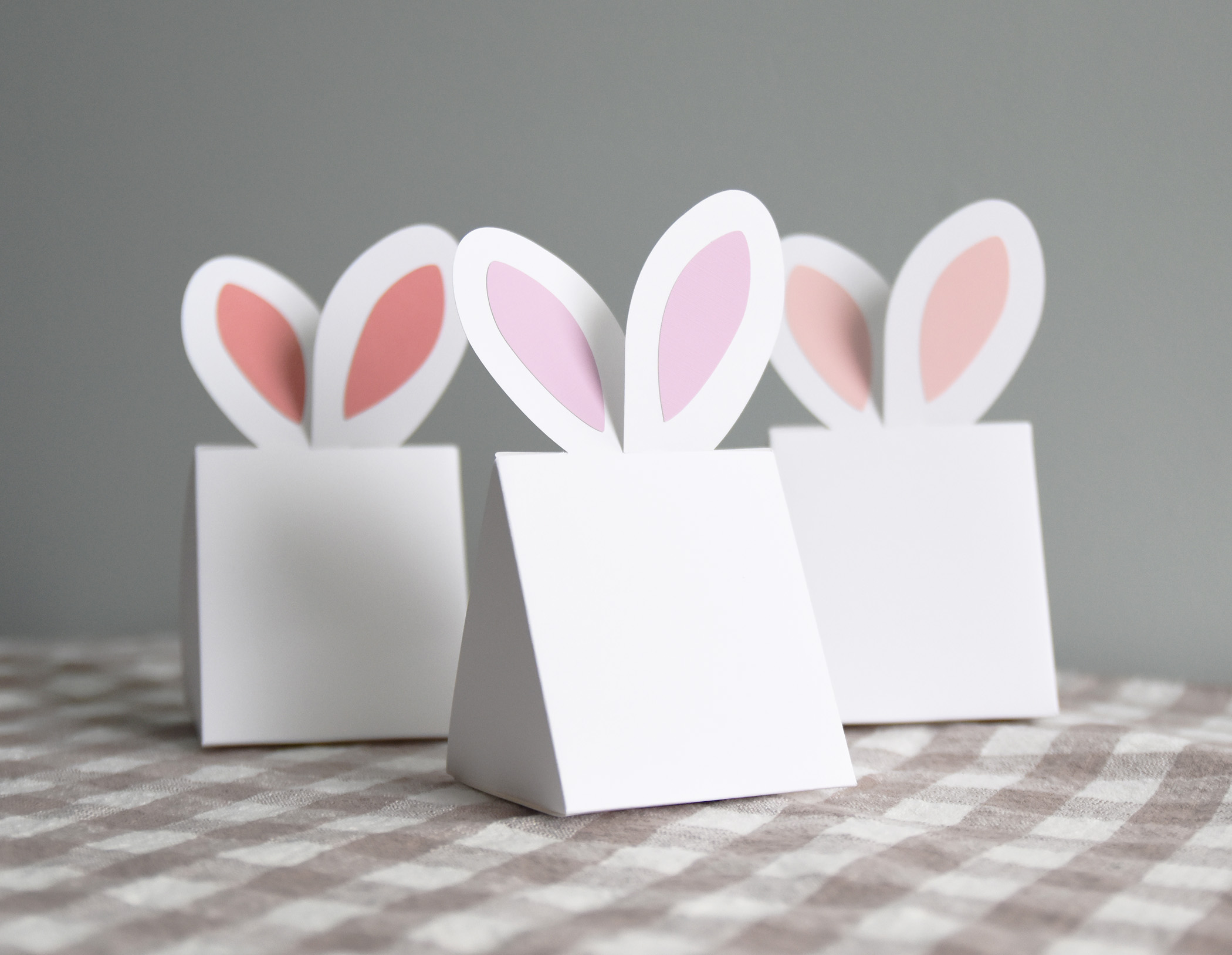 Easter Bunny Box SVG Template, Spring Place Card