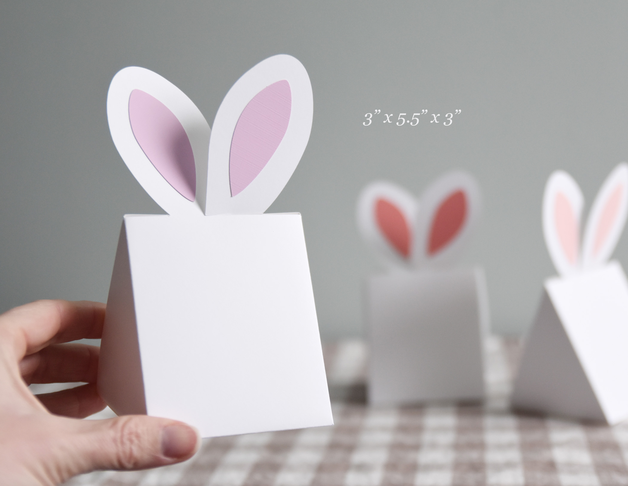 Easter Bunny Box SVG Template, Spring Place Card