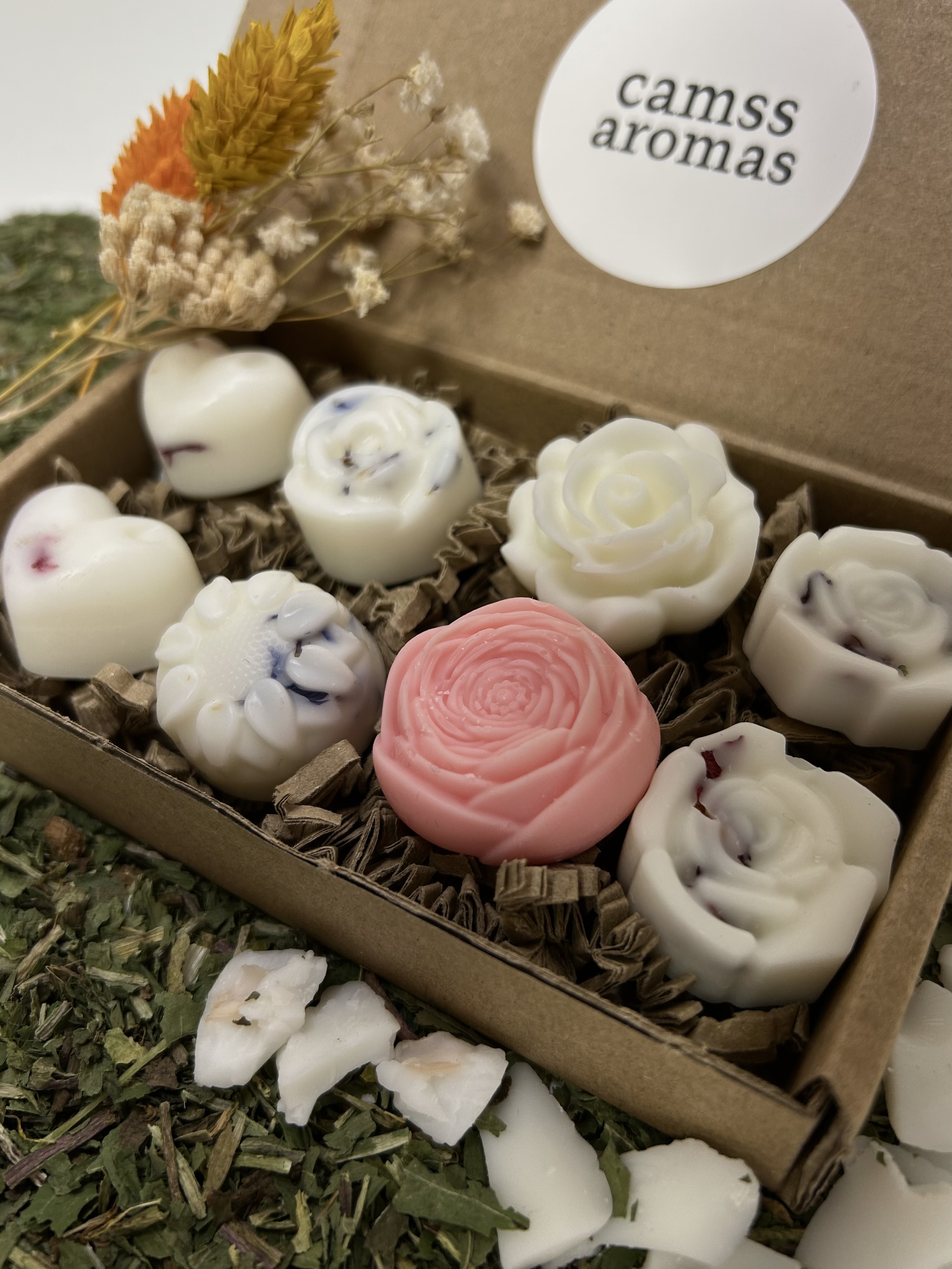 Set de Wax Melts "Diversión"