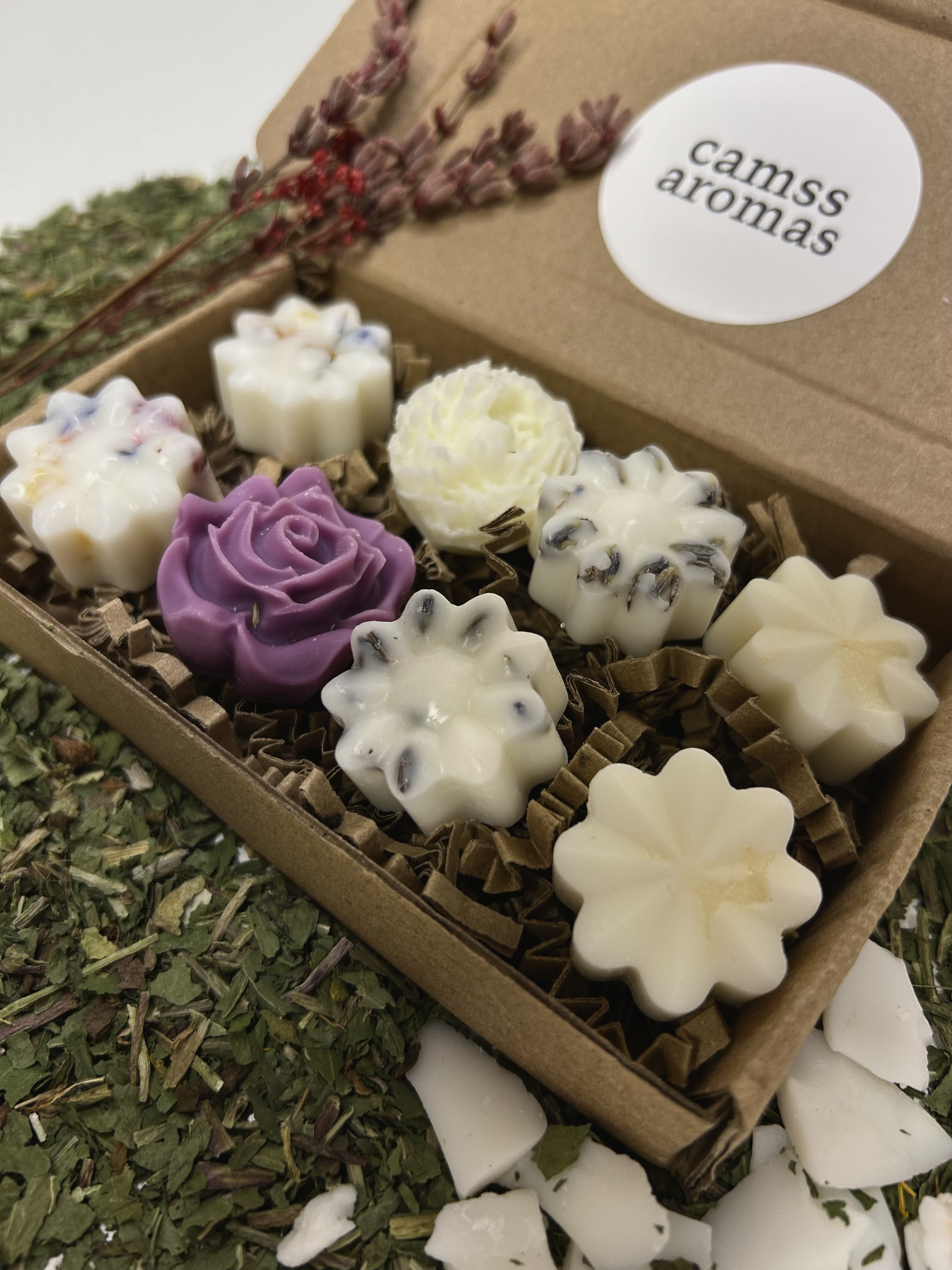 Set de Wax Melts "Alegría"