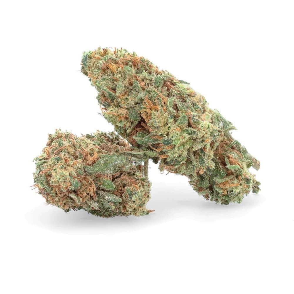 Orange Bud Néo Nano10