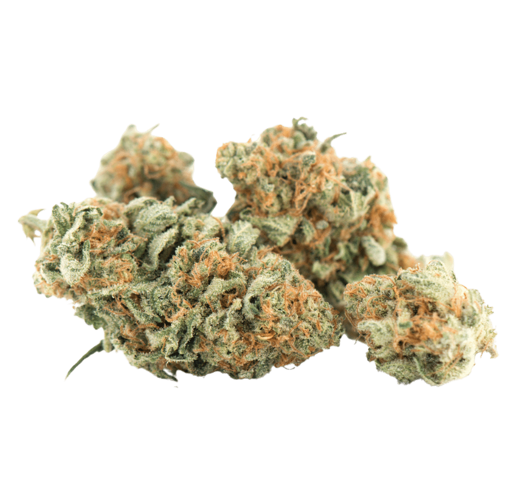 Résine Gelato Cream