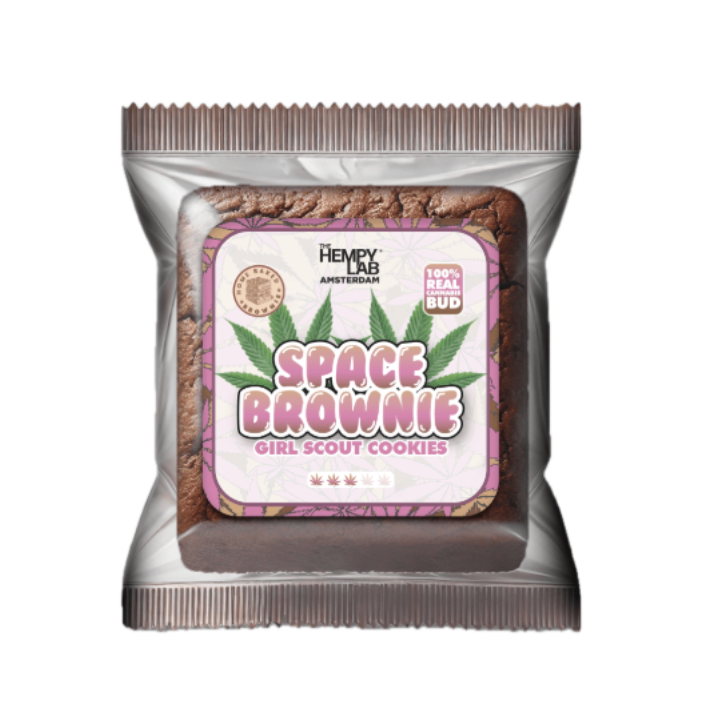Space Brownie Girl scout 