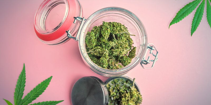 Pink Rosay Revuelto 2.0