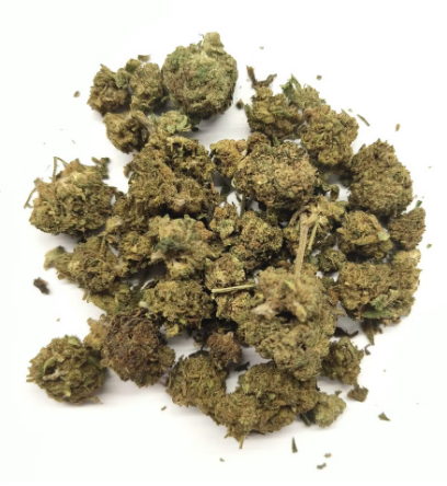 Résine Pablo Revuelto 2.0