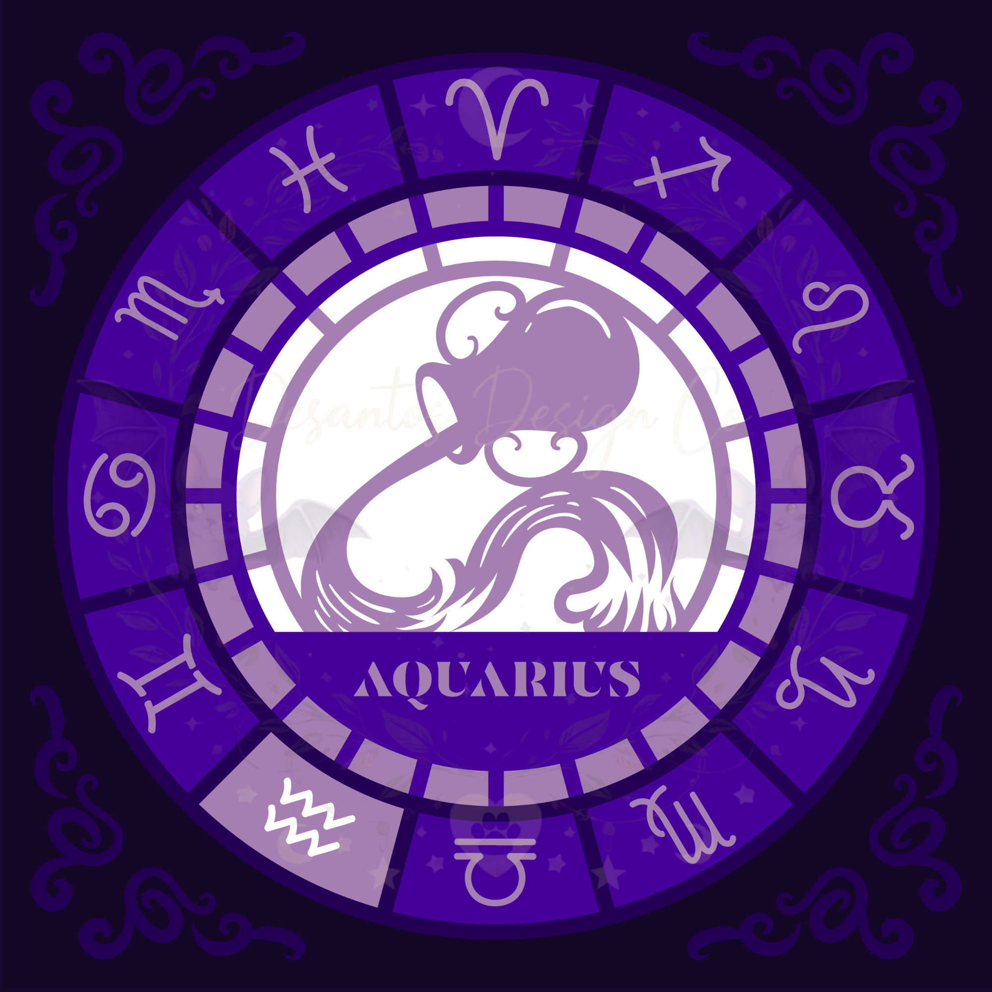 Aquarius Zodiac Shadow Box