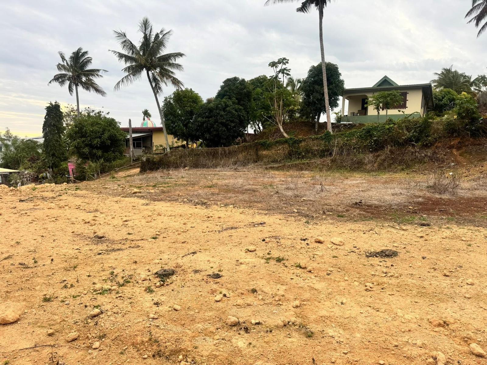 ๐
๐ซ๐๐๐ก๐จ๐ฅ๐ ๐๐๐ง๐ ๐๐จ๐ซ ๐๐๐ฅ๐