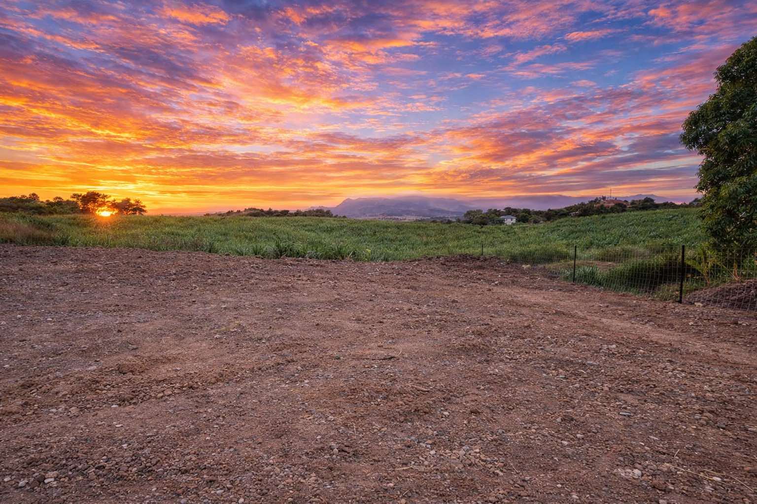 Spacious freehold lot