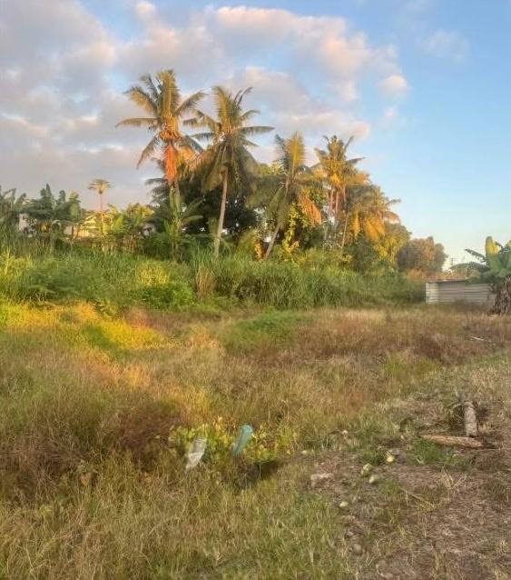 ๐
๐จ๐ซ ๐๐๐ฅ๐ โ ๐๐๐๐๐ง๐ญ ๐๐จ๐ญ