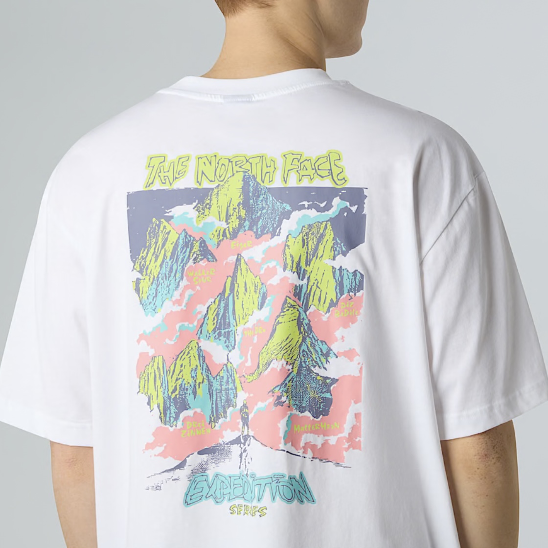 Remera The North Face Expedition Series – Estampa Montaña