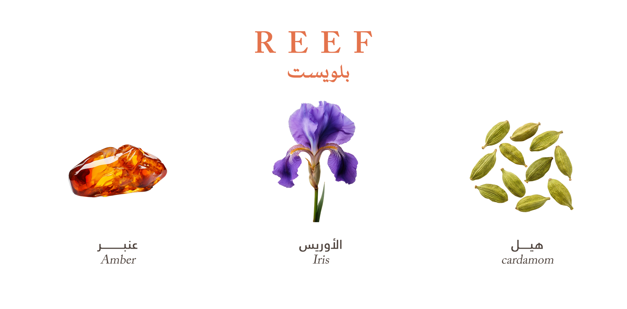 Bluest – Golden Amber Touch by Reef