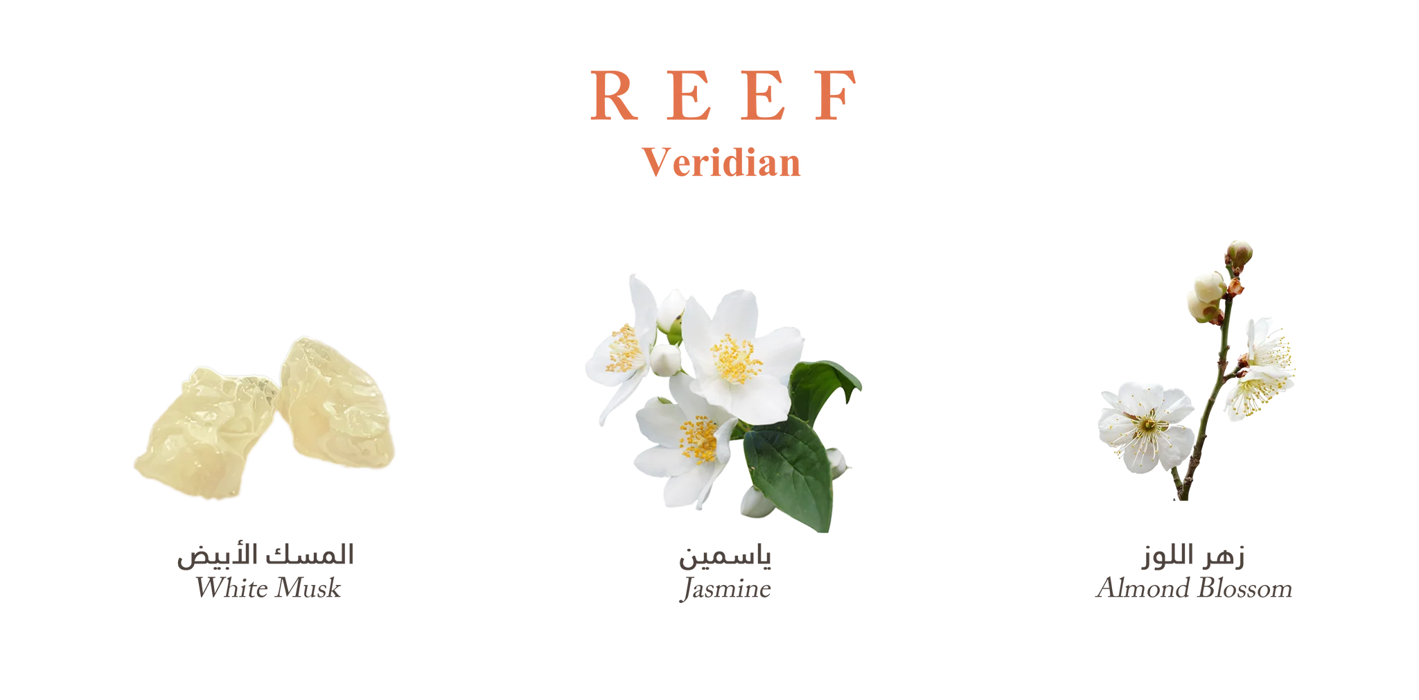 Veridian by Reef